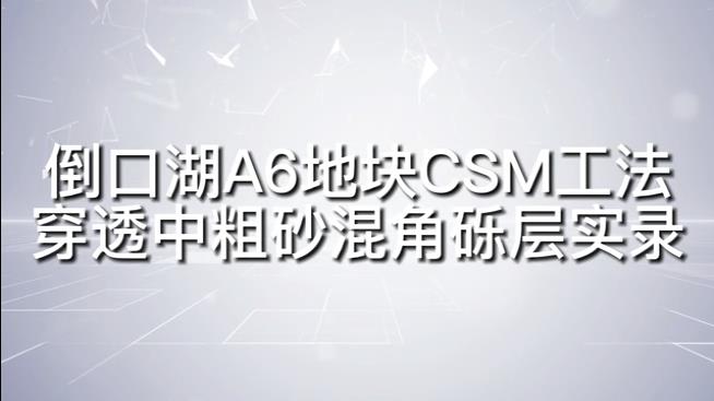 倒口湖項(xiàng)目施工全過程